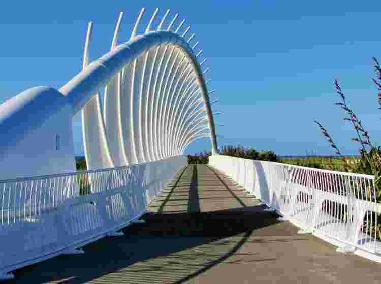 New Plymouth Costal Walkway