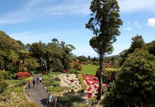 Pukeiti Gardens